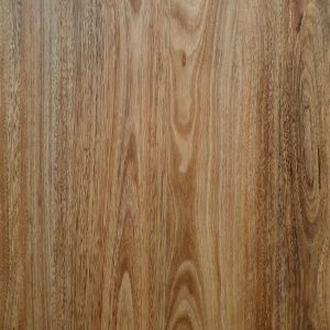 3017 Spotted Gum