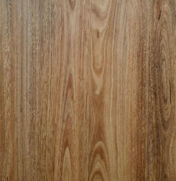 3017 Spotted Gum