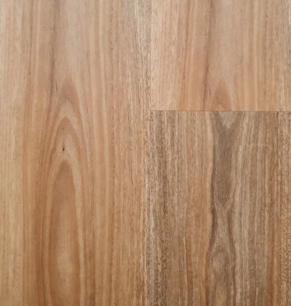 3019 Brushbox