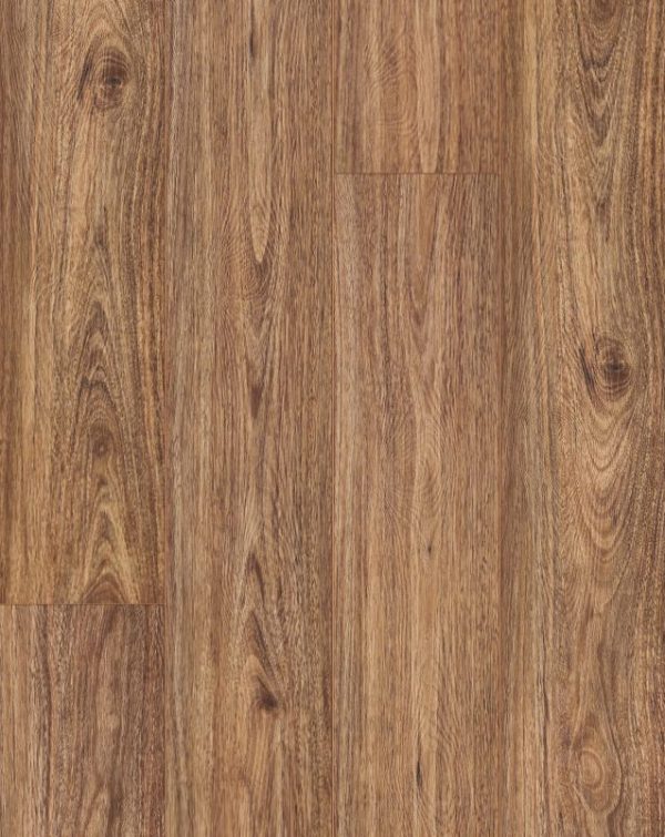 W3107 - Spotted Gum