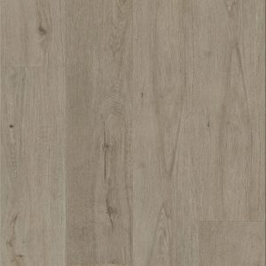W3103 – Wonderwood