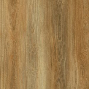 LSPC 3405 Spotted Gum